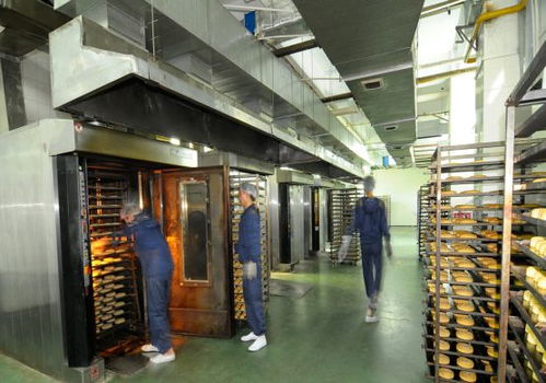 廣東月餅批發揭秘 品佳品,你的低價源頭工廠